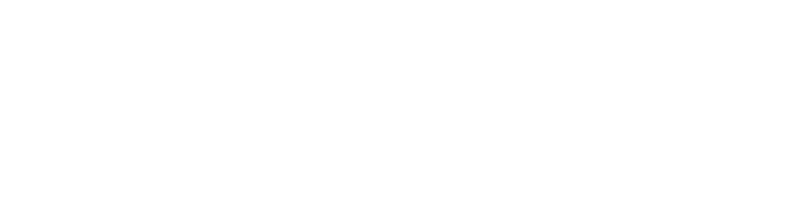 Logo | Tnsolutions.it